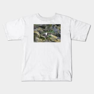 Puffin Kids T-Shirt